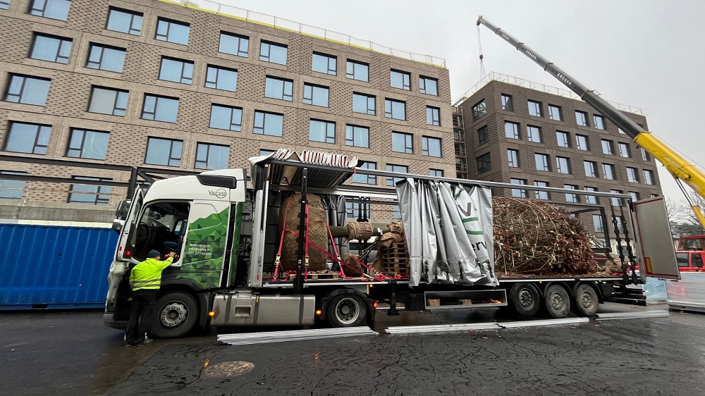 Delivery of a large oak tree for the territory's improvement