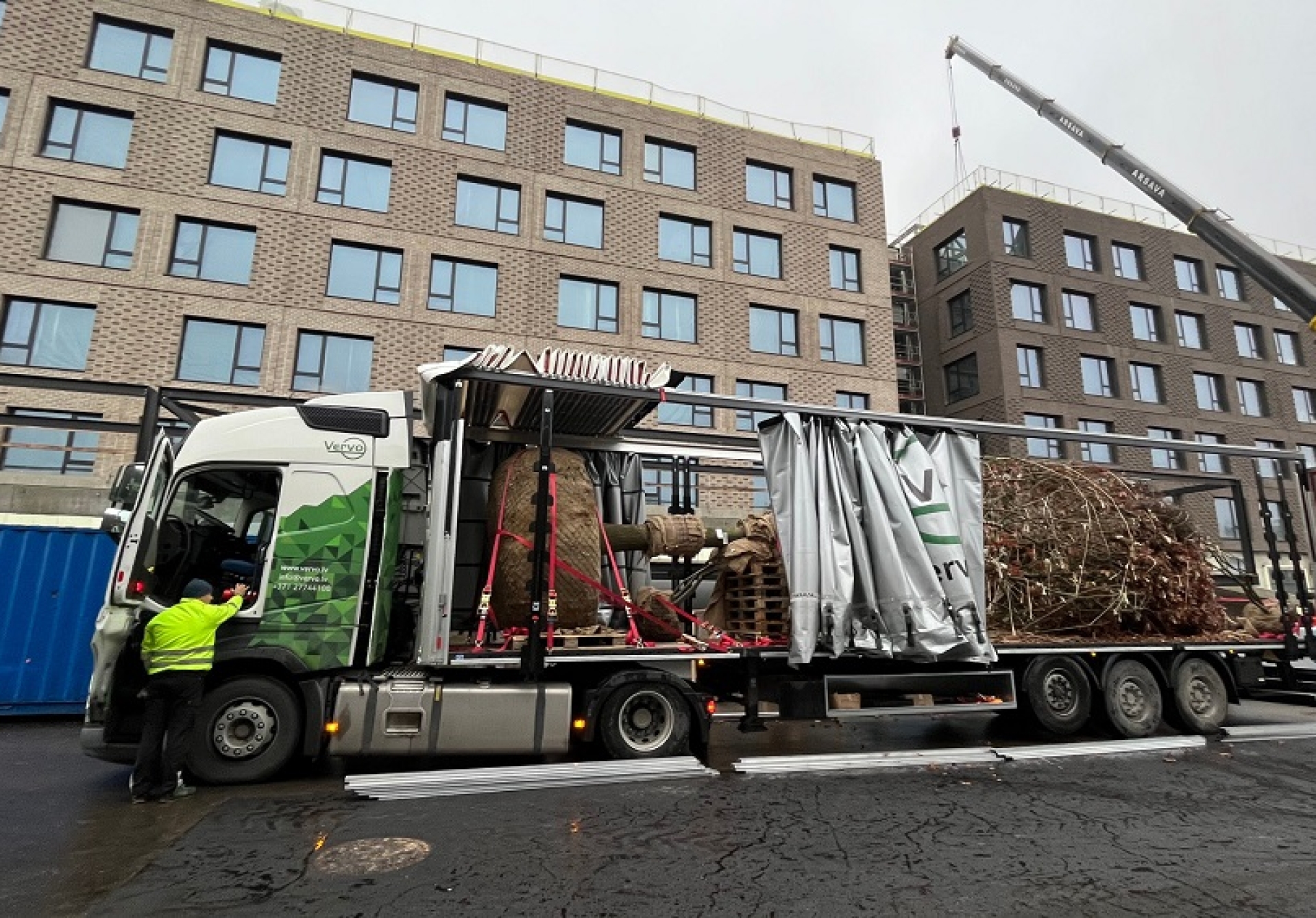 Delivery of a large oak tree for the territory's improvement
